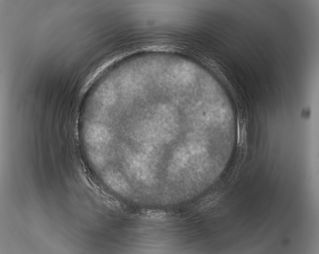 X0000114990531200912071119