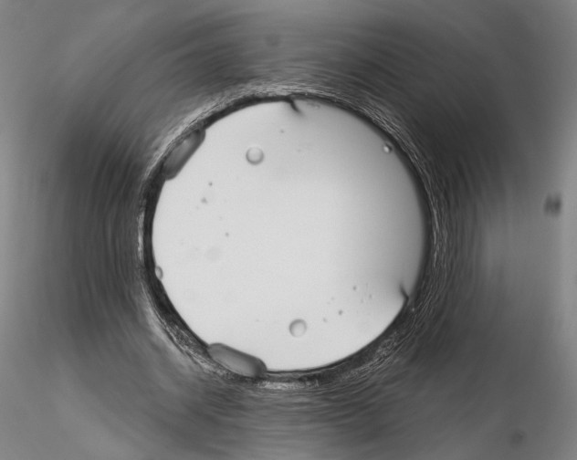 X0000114990534200912071119