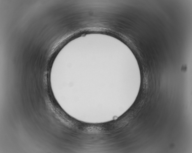 X0000114990535200912071119