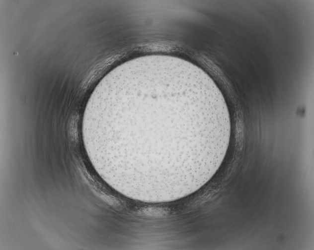 X0000114990537200912071119