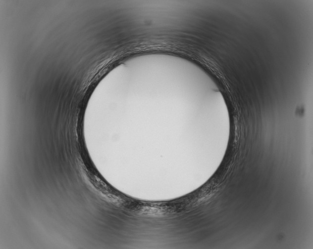 X0000114990538200912071119