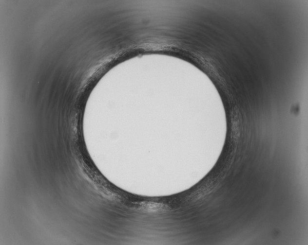 X0000114990539200912071119