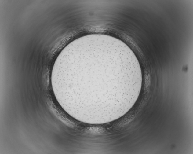 X0000114990541200912071119