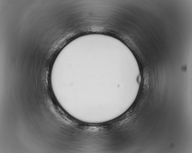 X0000114990542200912071119