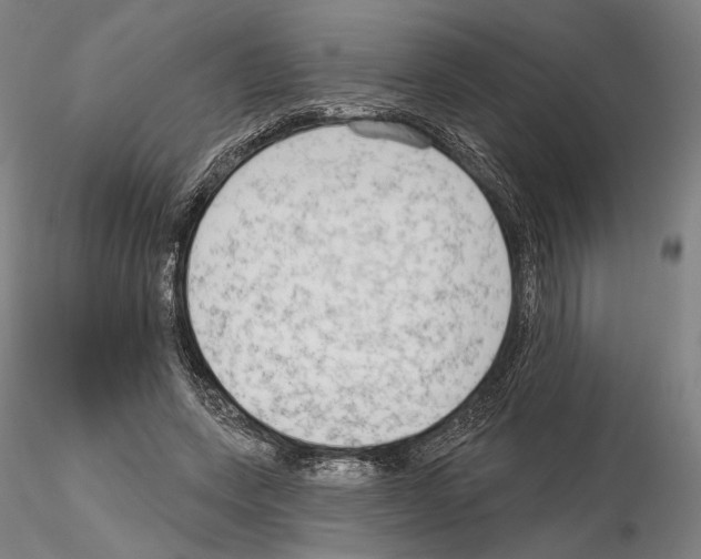 X0000114990543200912071119