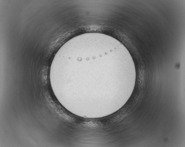 X0000114990545200912071119