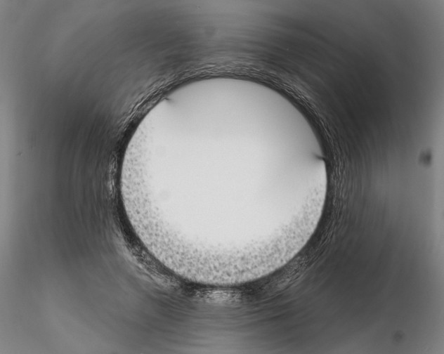 X0000114990546200912071119