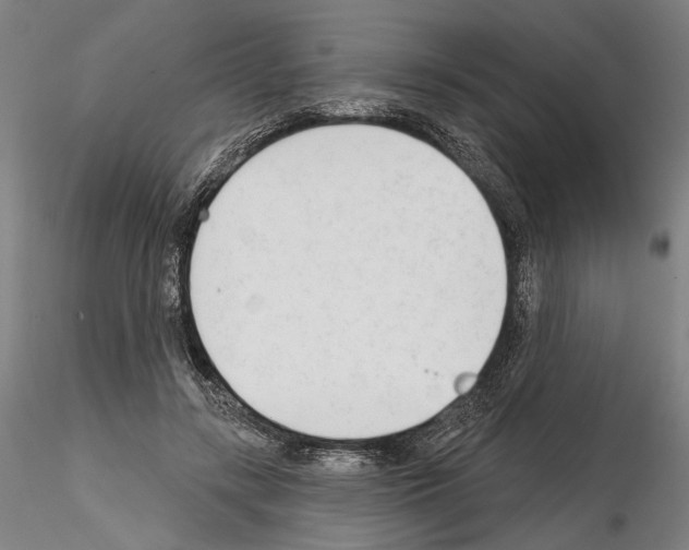 X0000114990547200912071119