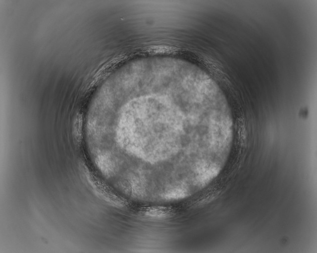 X0000114990550200912071119