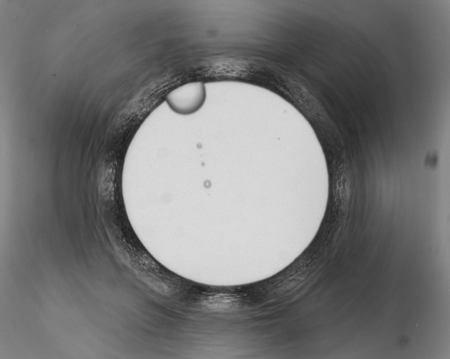 X0000114990551200912071119