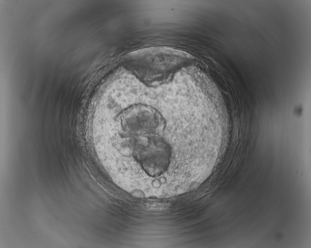 X0000114990553200912071119