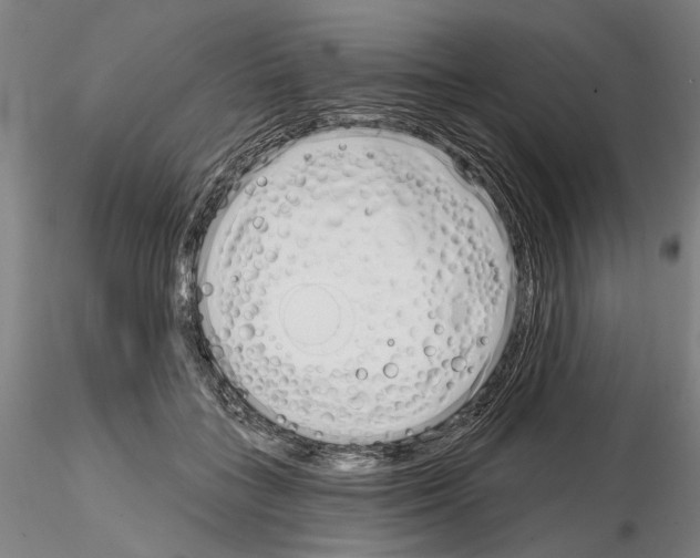 X0000114990555200912071119