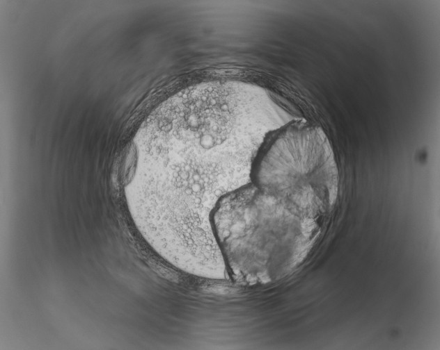 X0000114990561200912071119