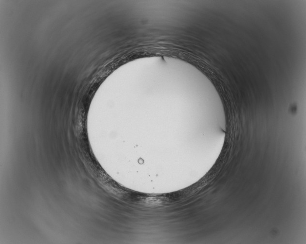 X0000114990566200912071119