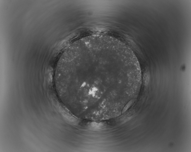 X0000114990570200912071119