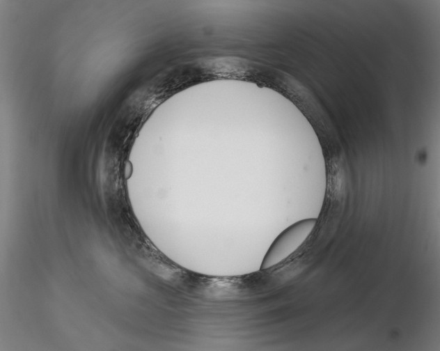 X0000114990573200912071119