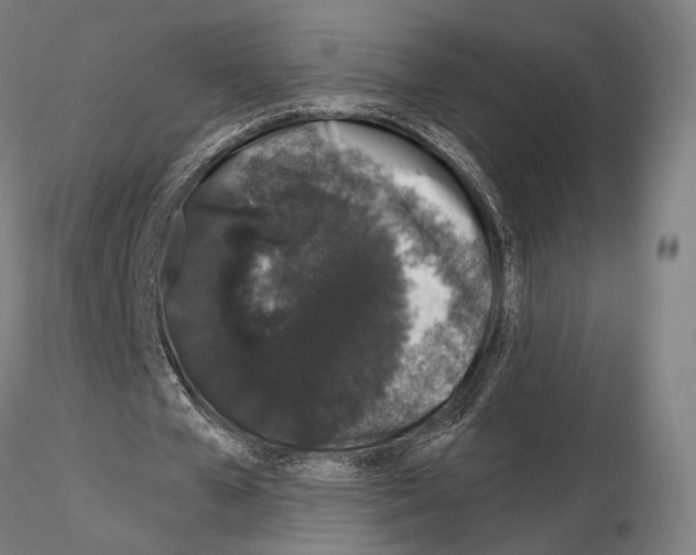 X0000114990577200912071119