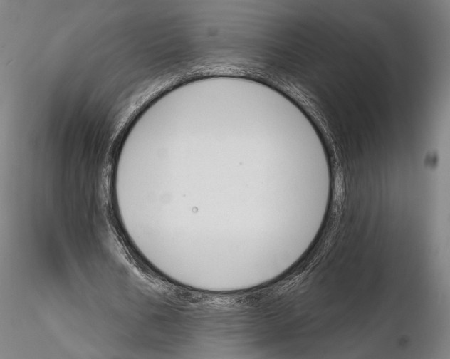 X0000114990578200912071119