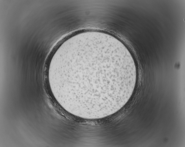 X0000114990580200912071119