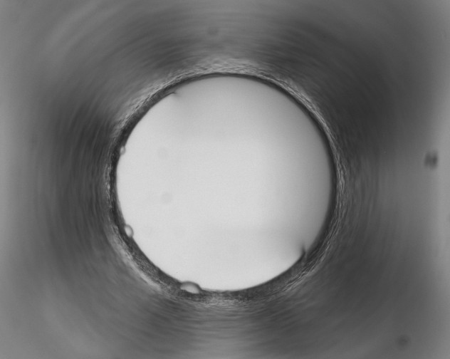 X0000114990581200912071119