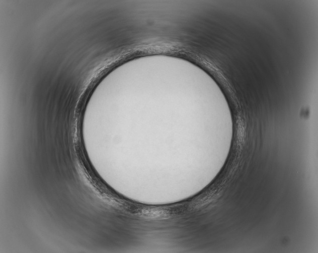 X0000114990582200912071119