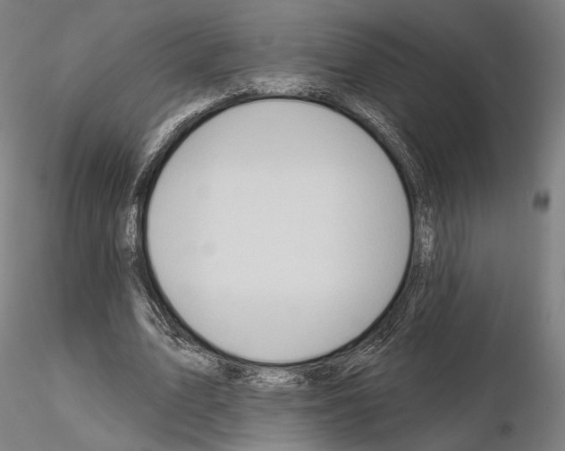 X0000114990583200912071119