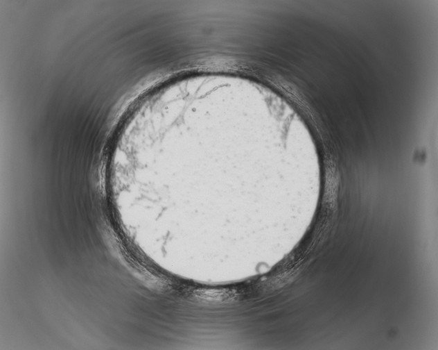 X0000114990584200912071119