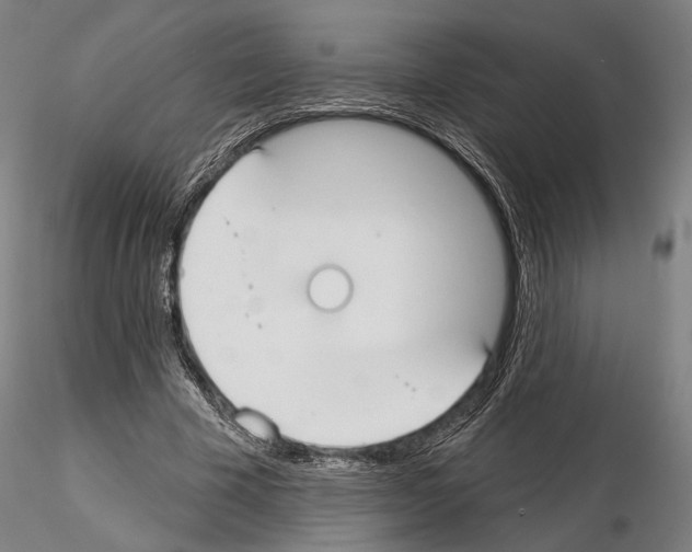 X0000114990585200912071119