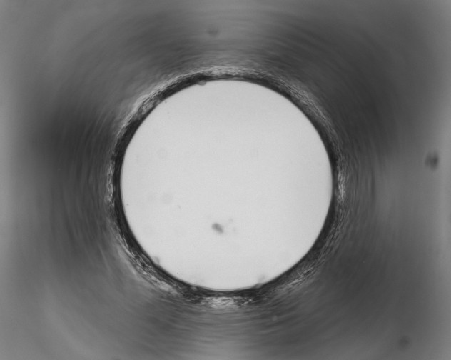 X0000114990588200912071119