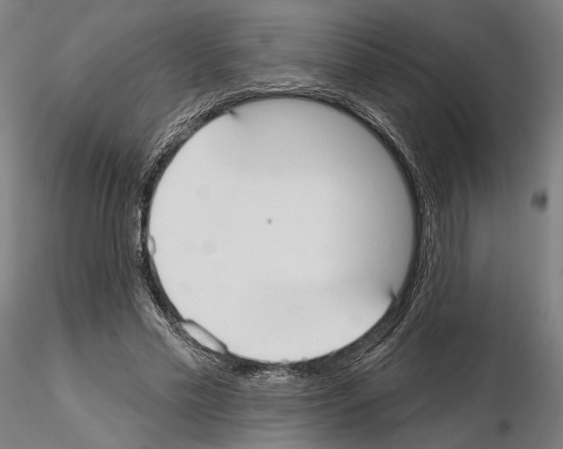 X0000114990589200912071119