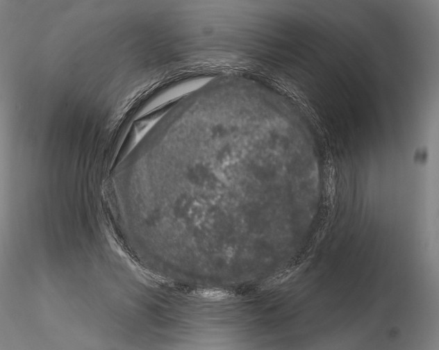 X0000114990590200912071119