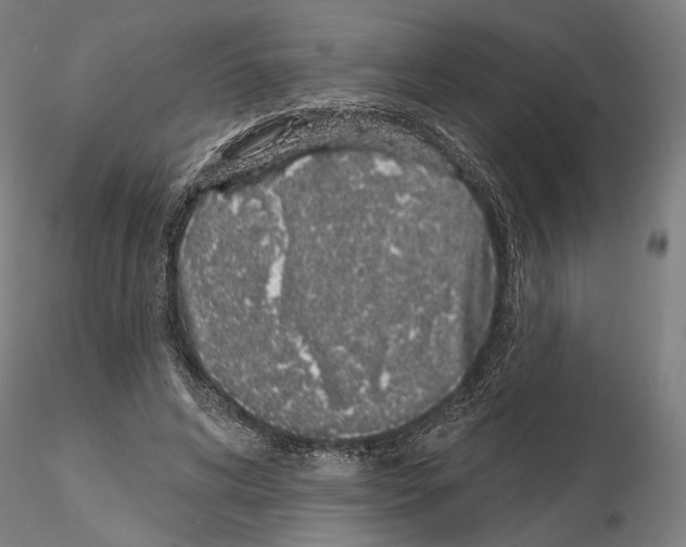 X0000114990592200912071118