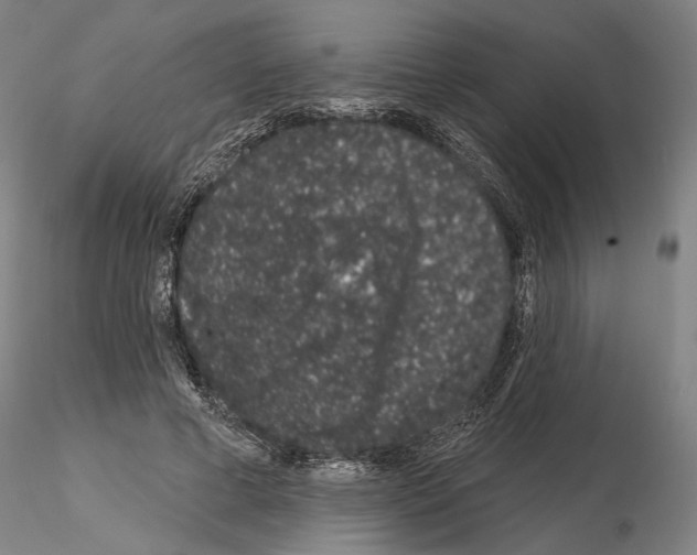 X0000114990593200912071118