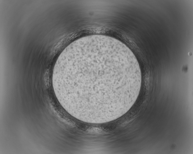 X0000114990594200912071118