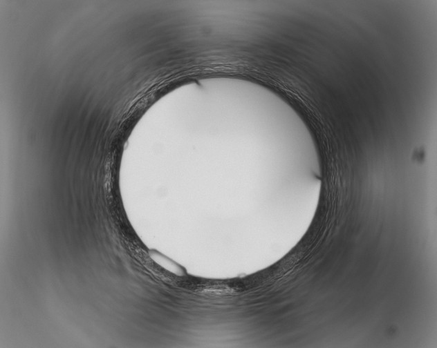 X0000114990595200912071118