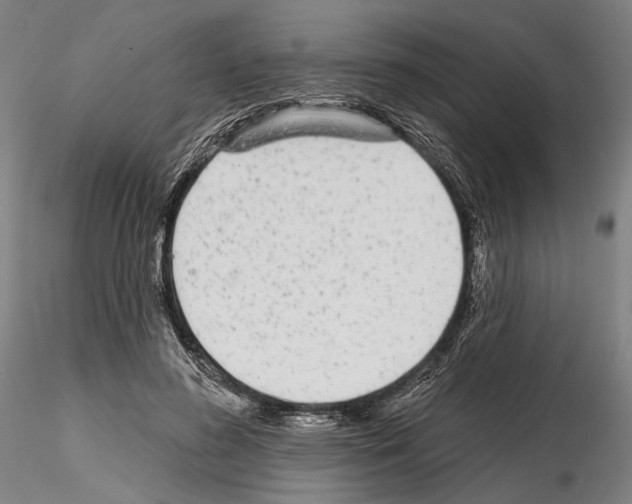 X0000114990596200912071118