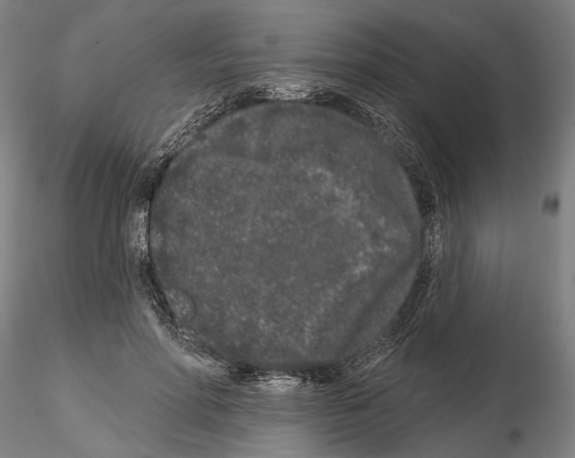 X0000114990598200912071118