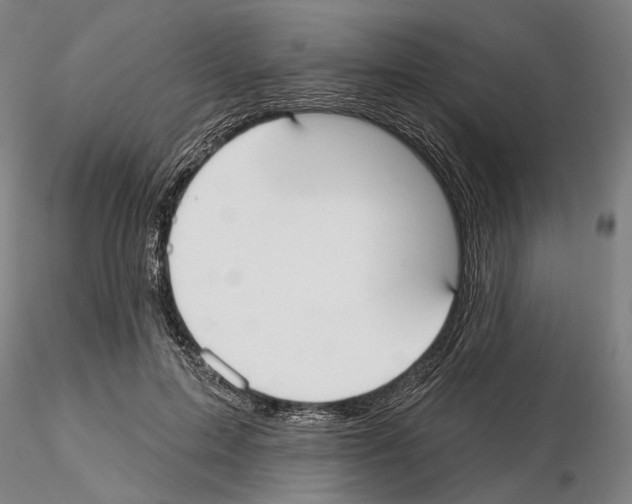 X0000114990599200912071118