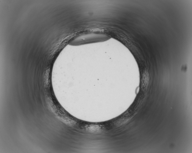 X0000114990600200912071118