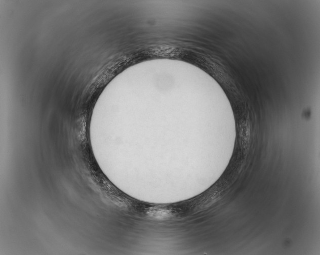 X0000114990602200912071118