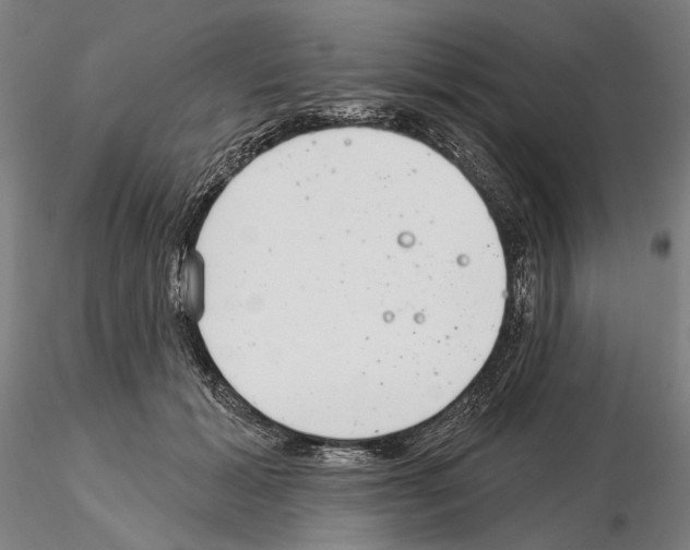 X0000114990605200912071118