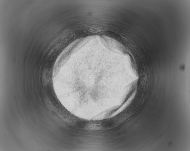 X0000114990606200912071118