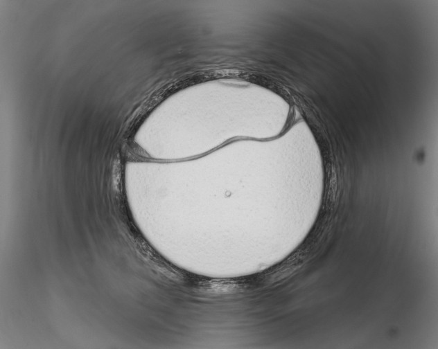 X0000114990612200912071118