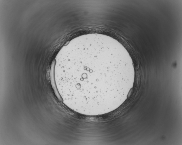 X0000114990613200912071118