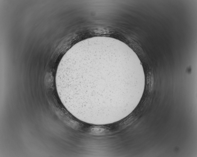 X0000114990614200912071118