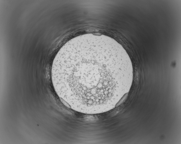 X0000114990616200912071118