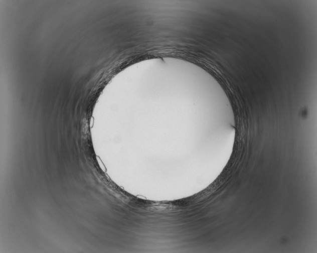 X0000114990617200912071118