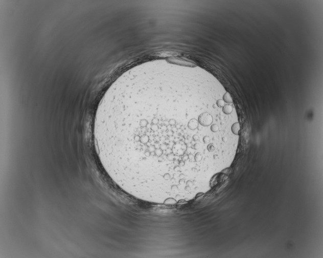 X0000114990620200912071118