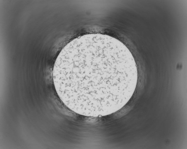 X0000114990624200912071118