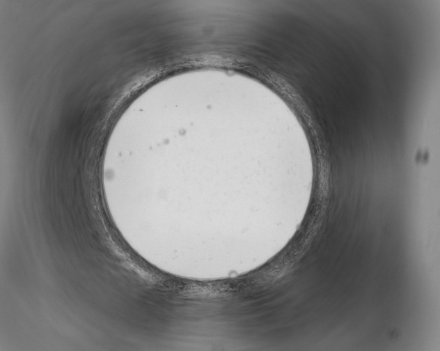 X0000114990625200912071117